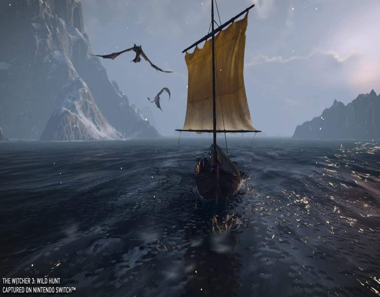 Bandai Namco Entertainment The Witcher 3: Wild Hunt (Switch)