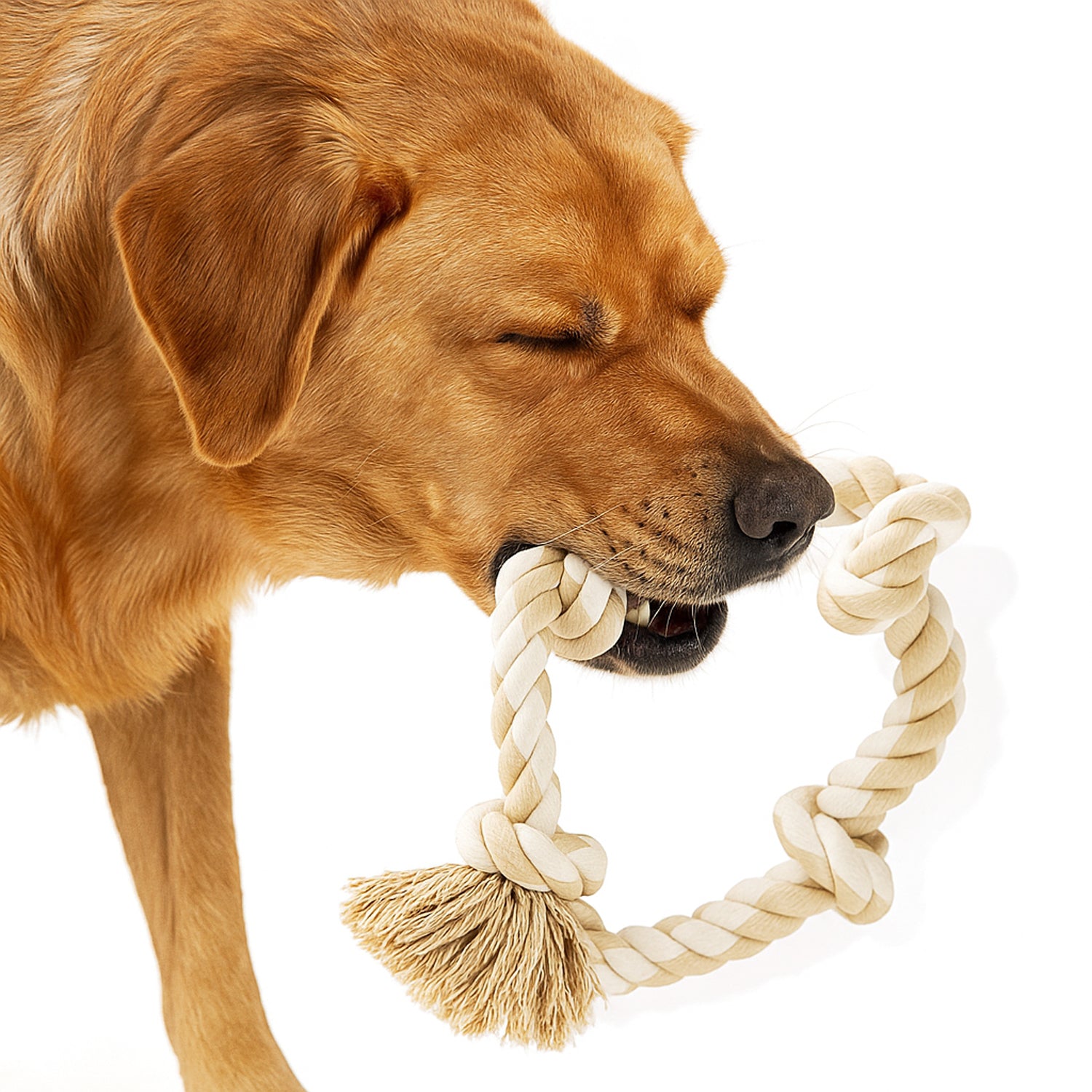 PupLily Durable Dog Rope Toy – Tough 5-Knot Chew & Tug Toy, 90cm, Khaki