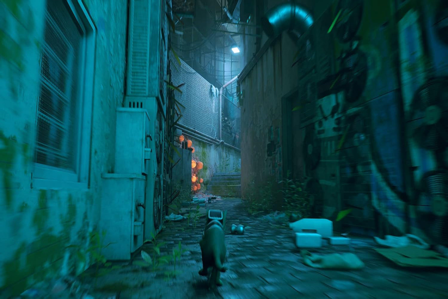 iam8bit Stray - EN/ES/IT (PS5)