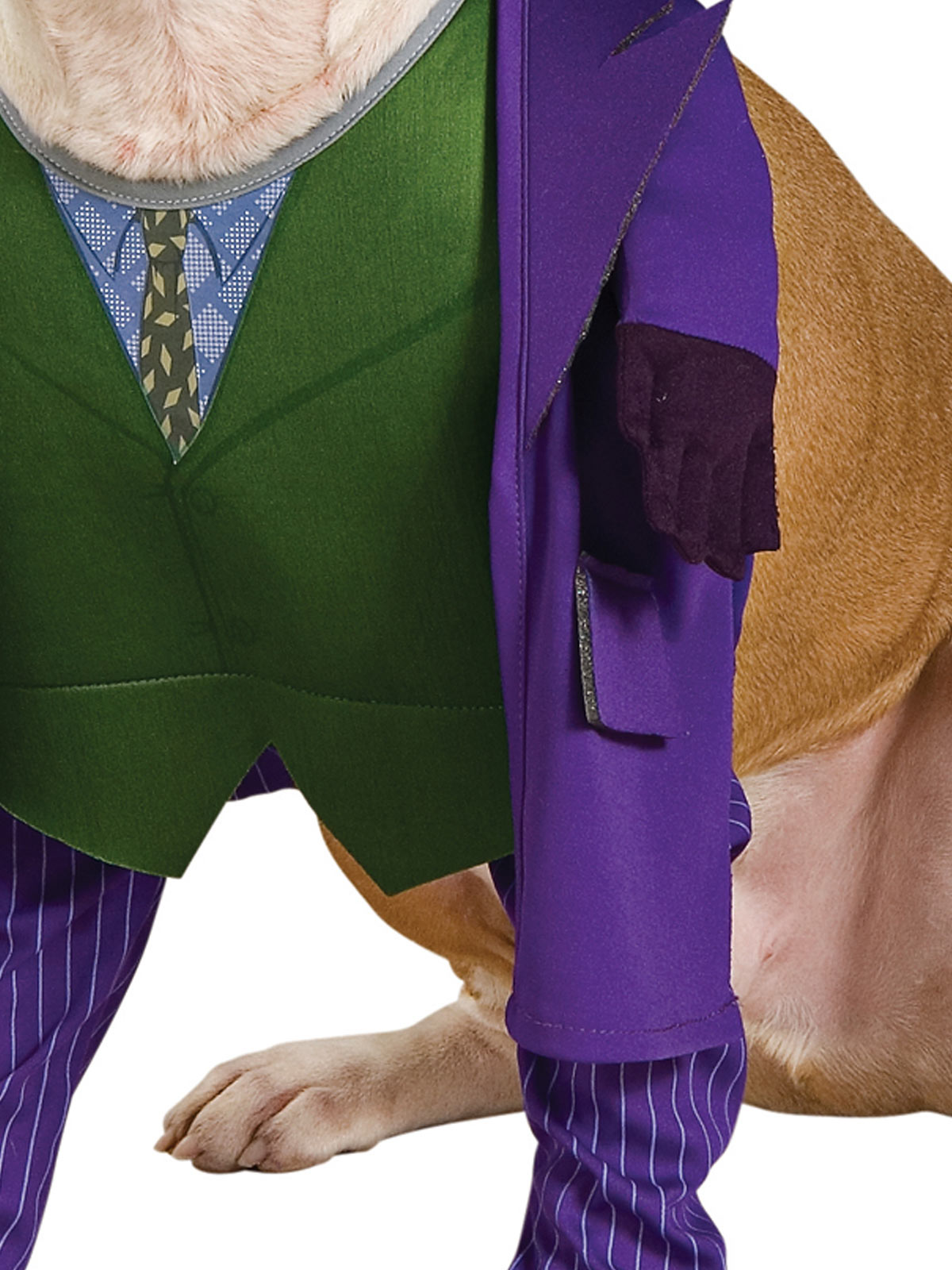 The Joker Pet Costume DC Comics Dog Outfit with Wig Jacket Shirt and Pants
