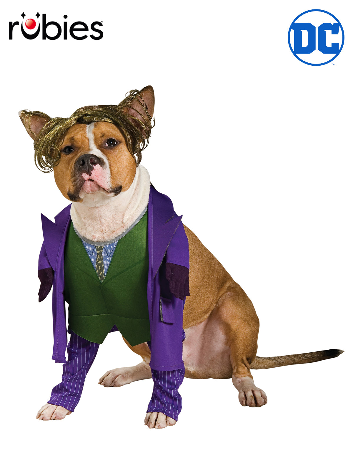 The Joker Pet Costume DC Comics Dog Outfit with Wig Jacket Shirt and Pants