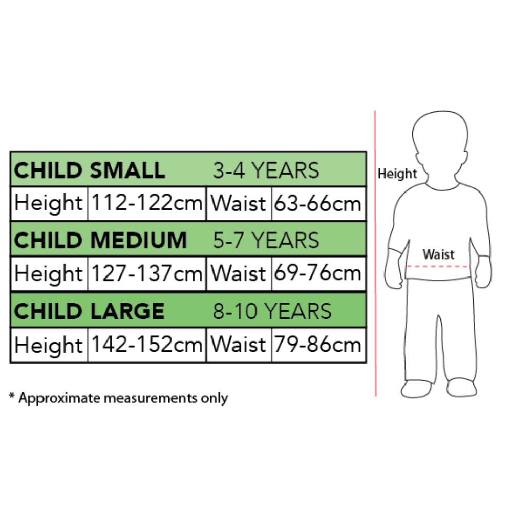 Wizard of Oz Wicked Witch of the West Deluxe Costume for Kids with Hat