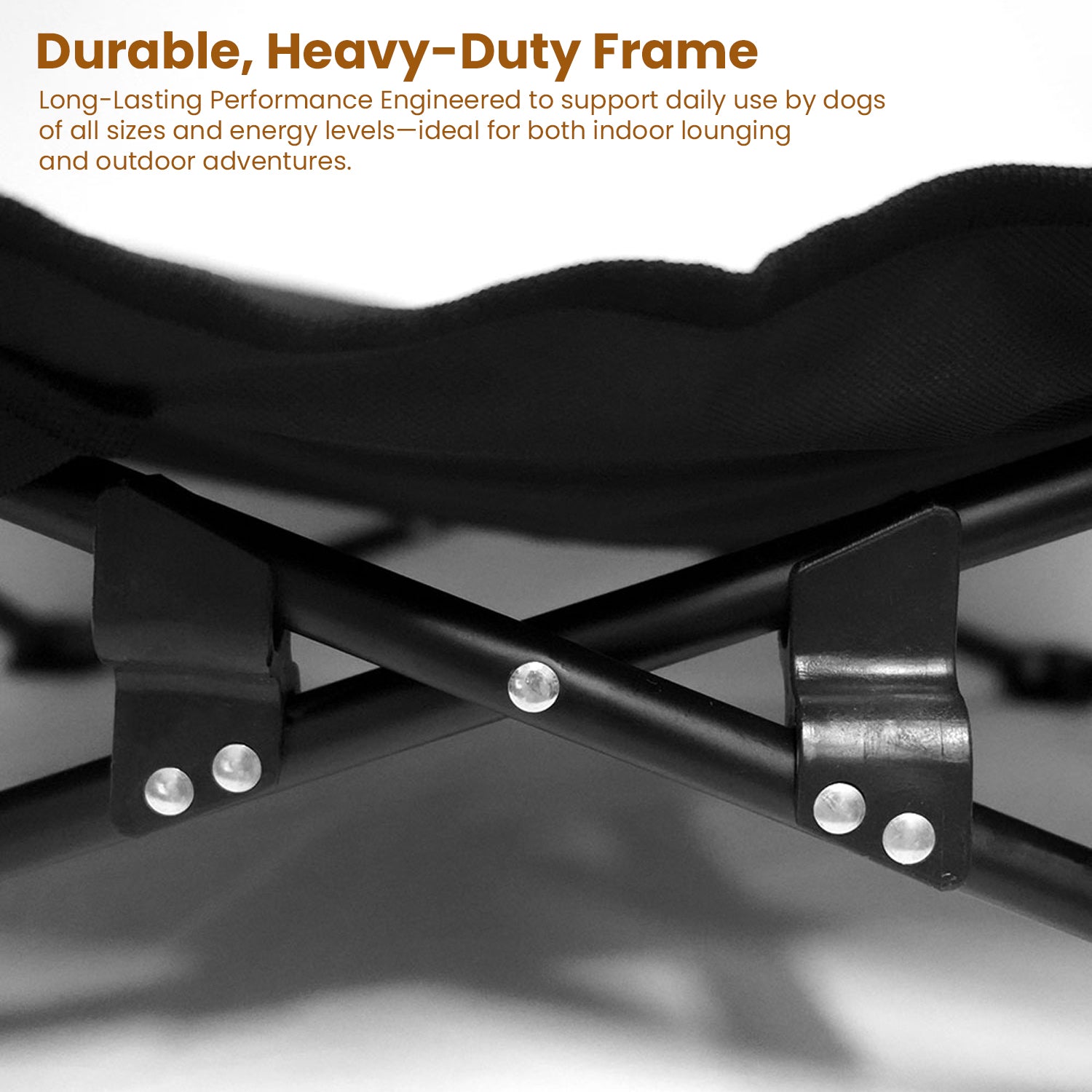 PupLily Elevated Dog Bed – Foldable Cot with Padded Topper & Bag, for Large Pets