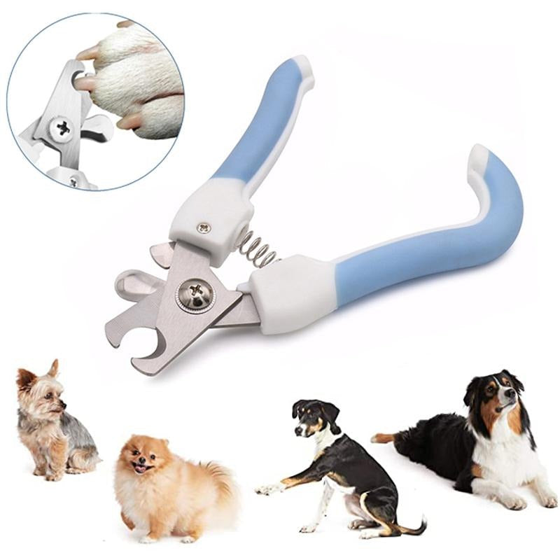 Pet Grooming Scissors and Nail Clipper