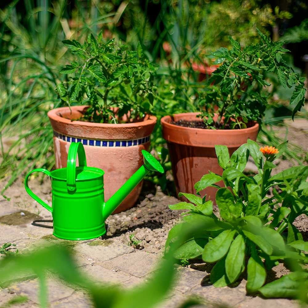 Bigjigs Toys Metal Watering Can Garden Watering Pot for Plants Green