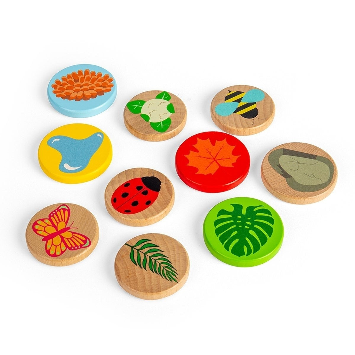 Bigjigs Toys Kids Educational Toy Microscope Science Exploration Toy for Children