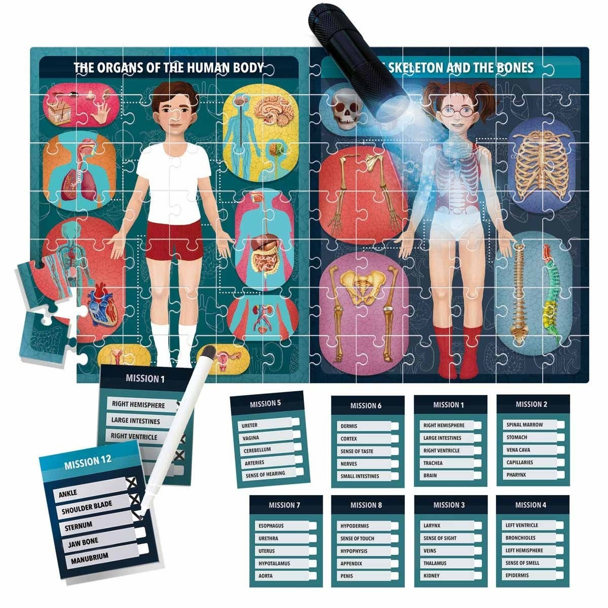 Headu The Human Body Under X-Ray Puzzle Kit for Kids
