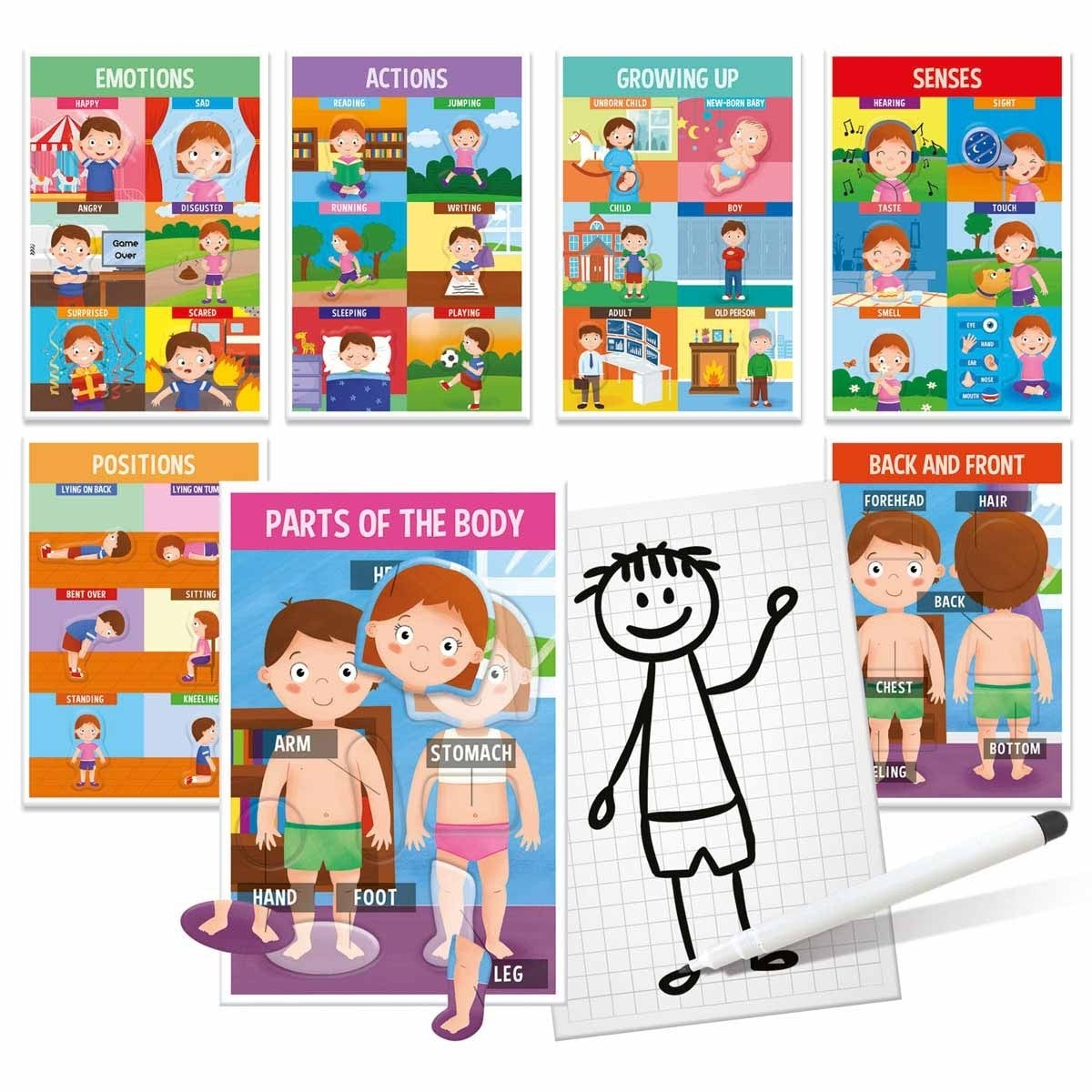 Headu Discover the Human Body Educational Kit for Learning Body Parts