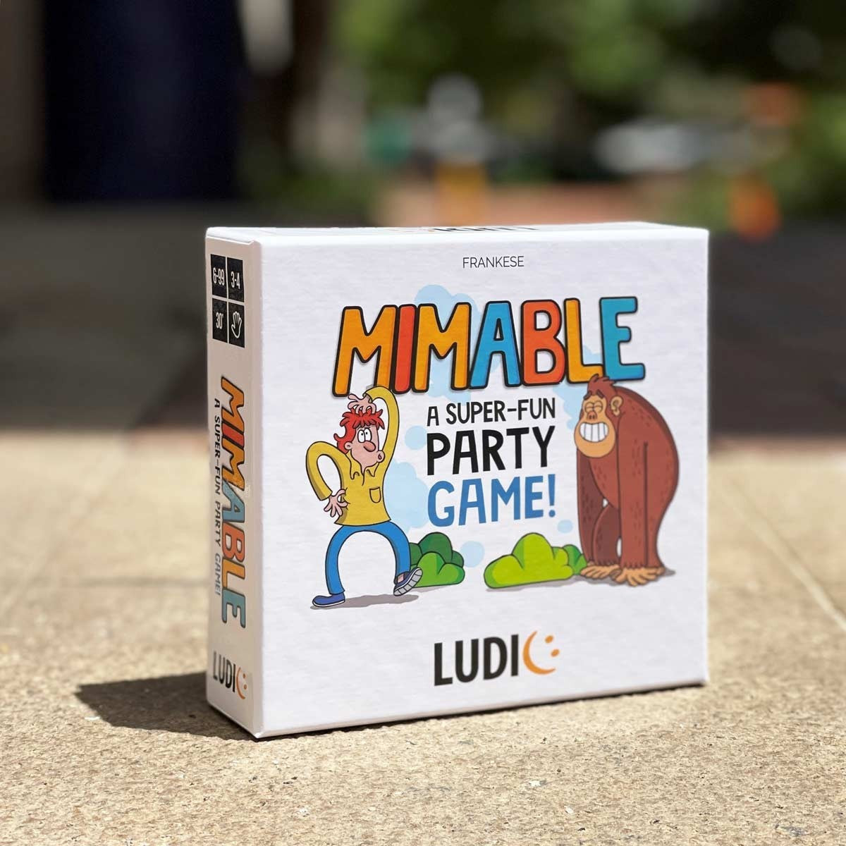 Ludic Mimable Fun Educational Game for Social and Cognitive Skills