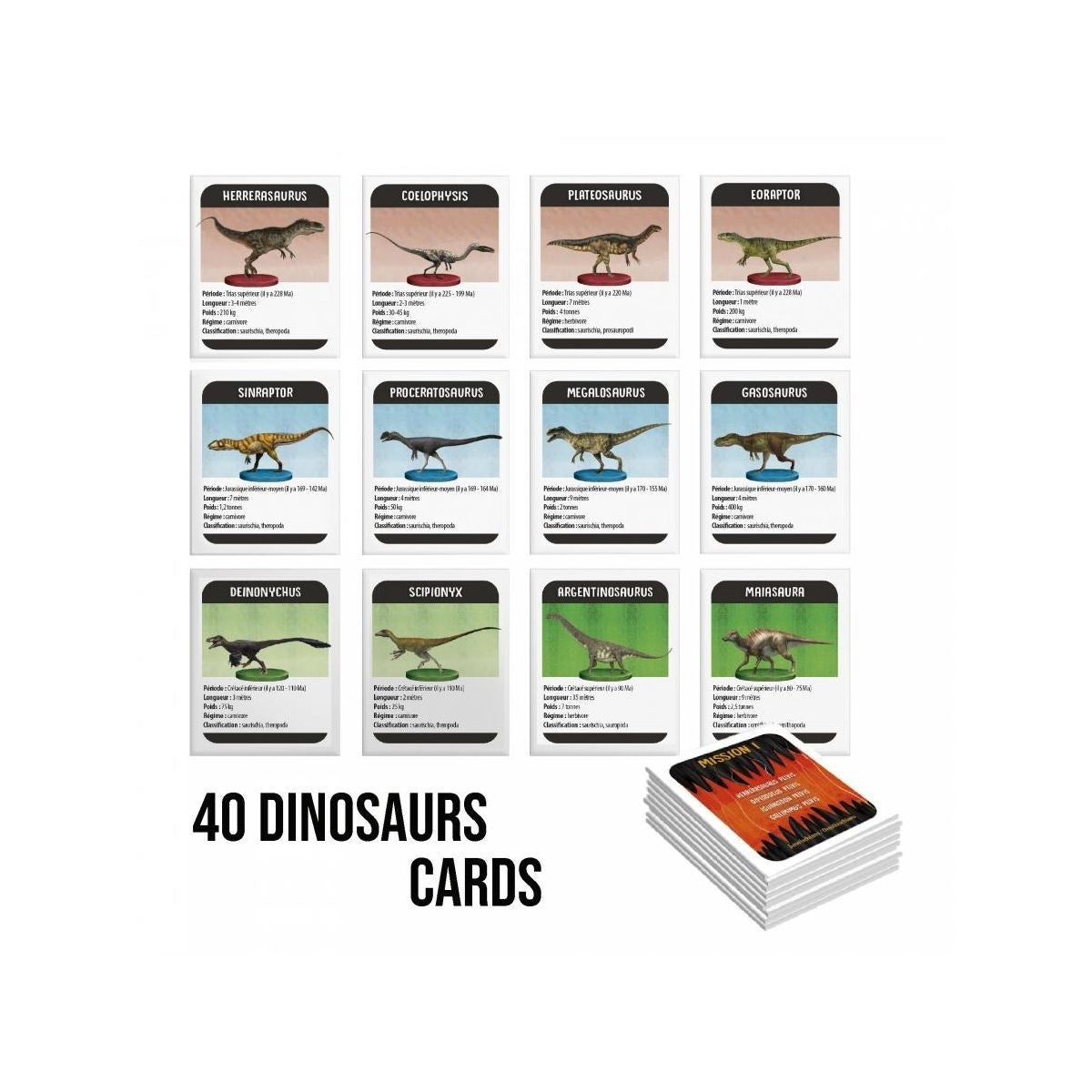 Headu Dinosaurs Under X-Ray Learning Flash Cards